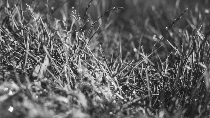 Understanding Industrial Outdoor Storage in Las Vegas